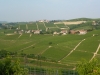 View of Neive from Moccagatta